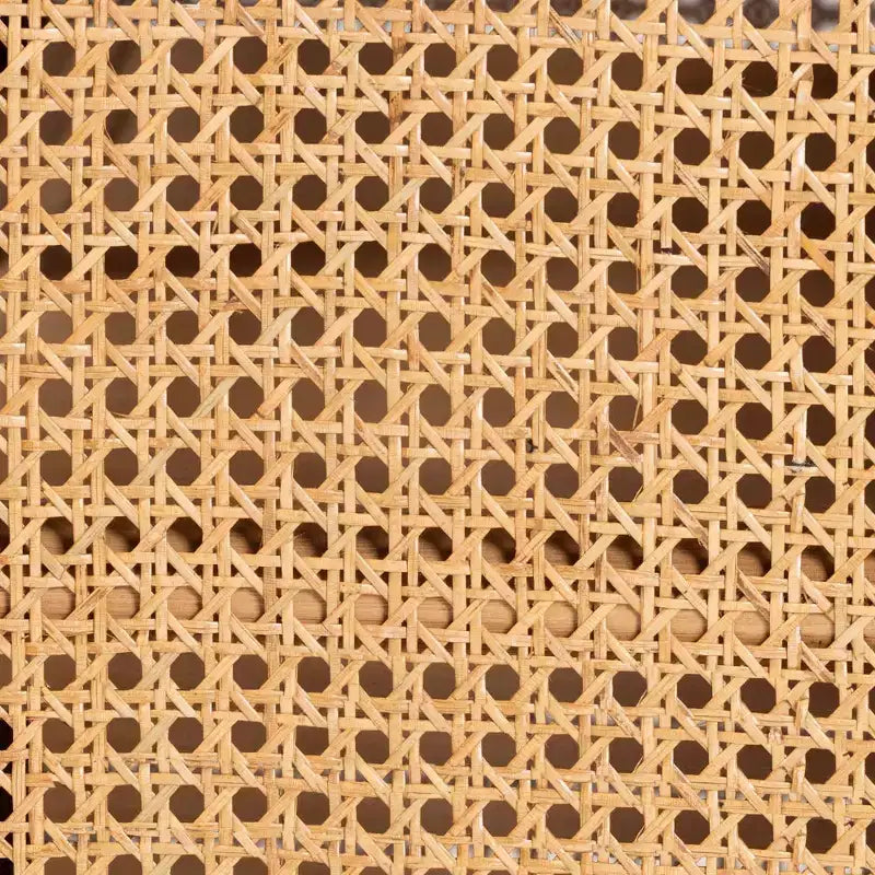 Armoire de rangement 2 portes en rotin Miel clair : Cadre en contreplaqué, Étagères fixes, Aucun assemblage requis